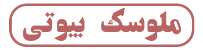 لوگو ملوسک بیوتی پشت سفید